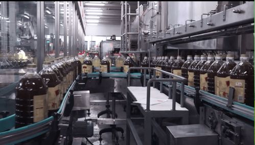 云賞金龍魚(yú)蝦田稻，共憶香韻外婆情