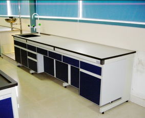 惠州邊臺,惠州實驗邊臺